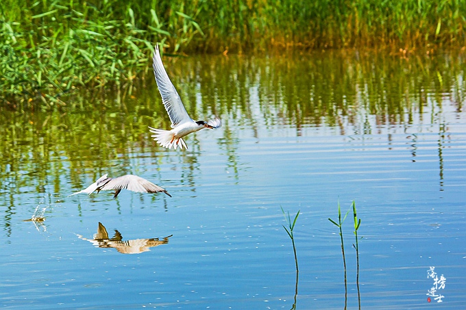 张家口沽源风景区,张家口沽源县景点