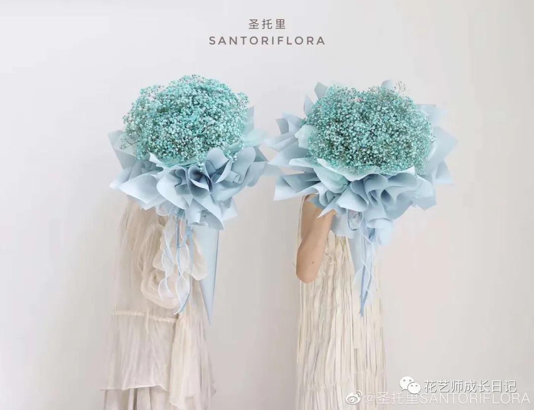 满天星什么色好看,推荐好看颜色满天星