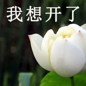 范冰冰微商,范冰冰有没有回归娱乐圈