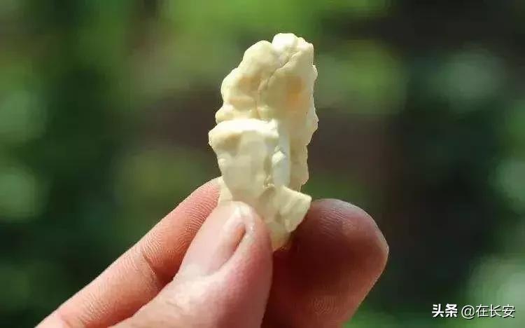 陕西的青皮核桃,陕西人儿时记忆饭菜