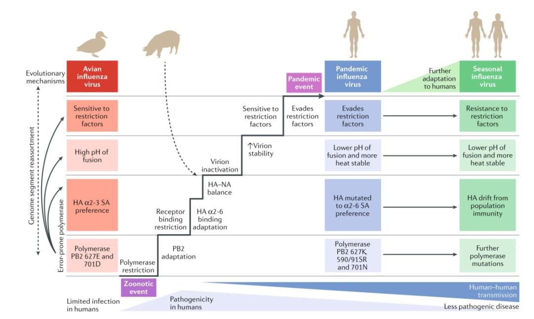 中医科学院任丽丽,任丽丽