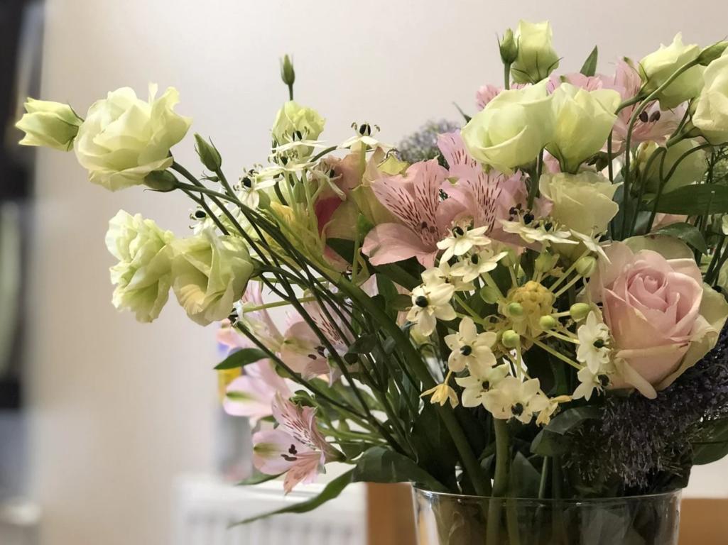 「风尚行」“花花世界”触手可及，隐藏在新亚洲体育城的娇艳诸芳