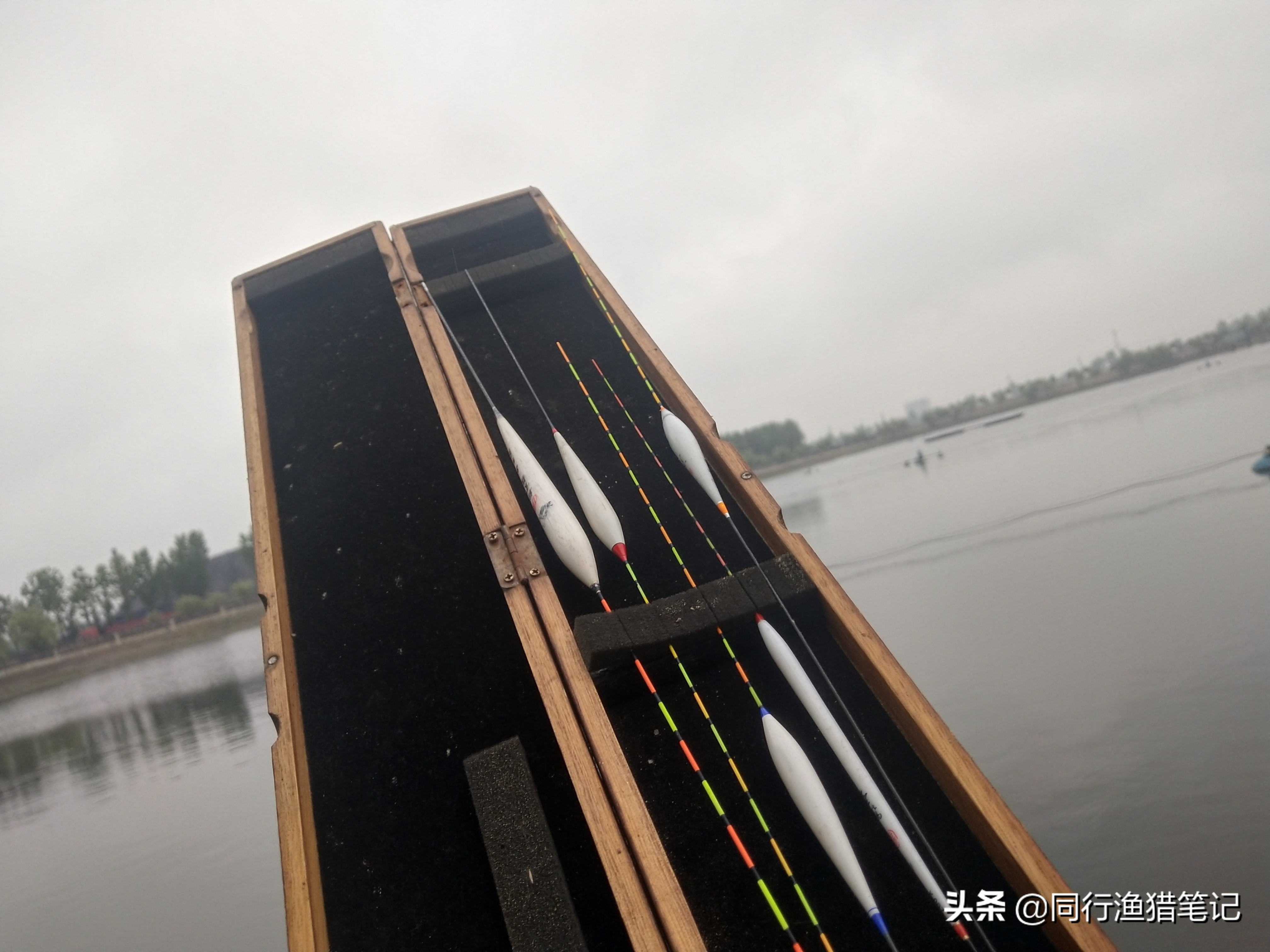 黑坑小炮前期用多大线组,黑坑小炮前期线组