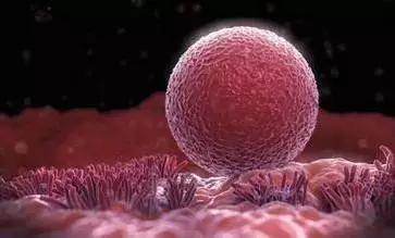 试管婴儿一般取多少个卵,试管婴儿取完卵手术流程