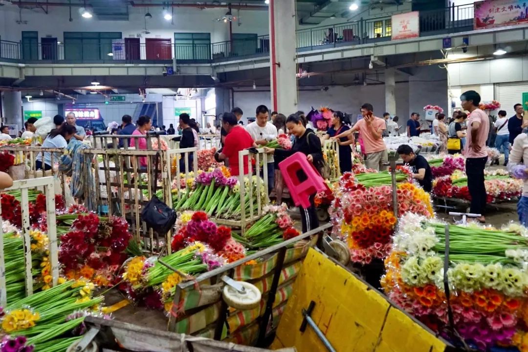 哪里鲜花最多最便宜,苏州市最大鲜花批发市场