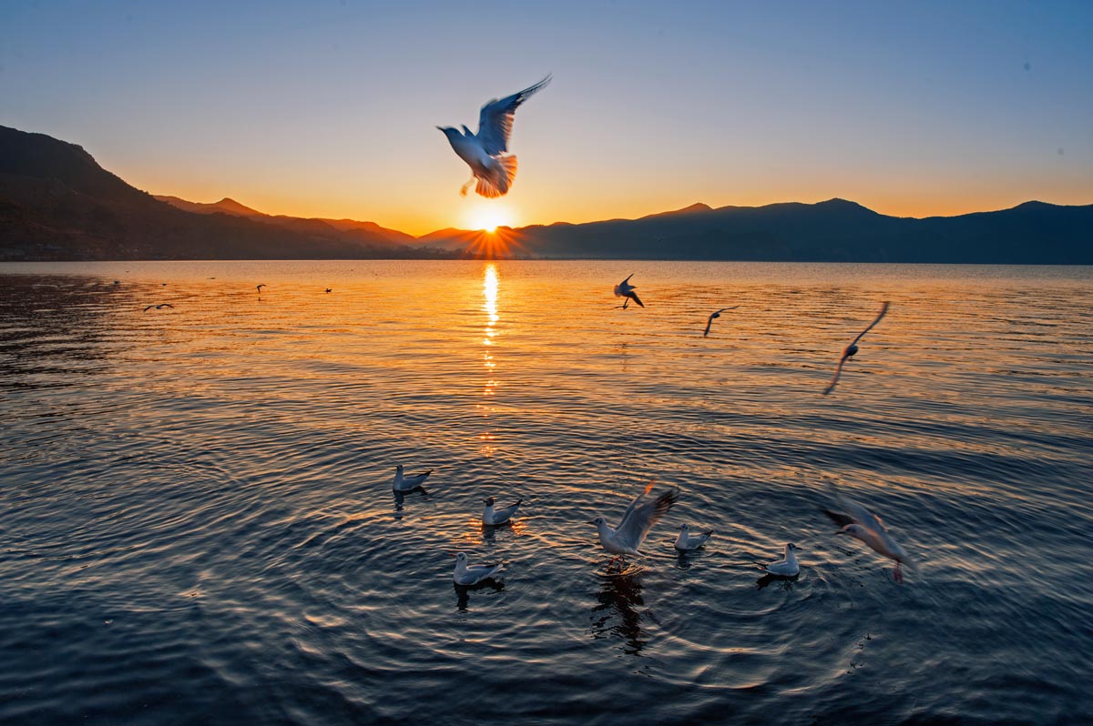 泸沽湖唯美视频,泸沽湖美到窒息