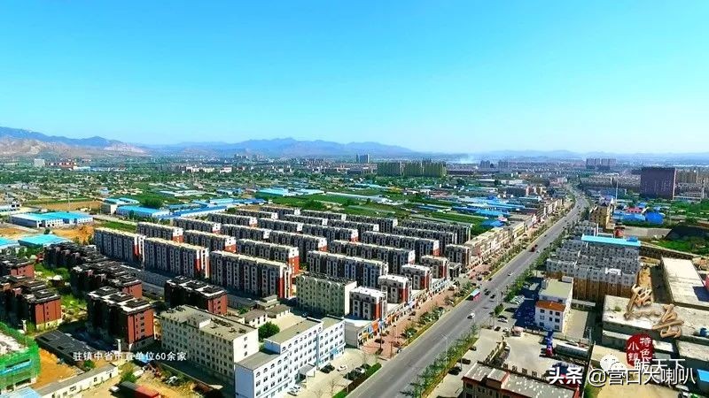 营口鲅鱼圈熊岳镇2019年又上榜“千强镇”啦