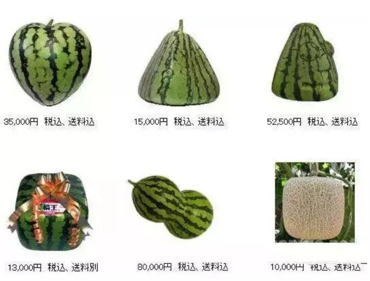 日本10万一个的水果,中国却卖出“白菜价”,日本游客都不想走了