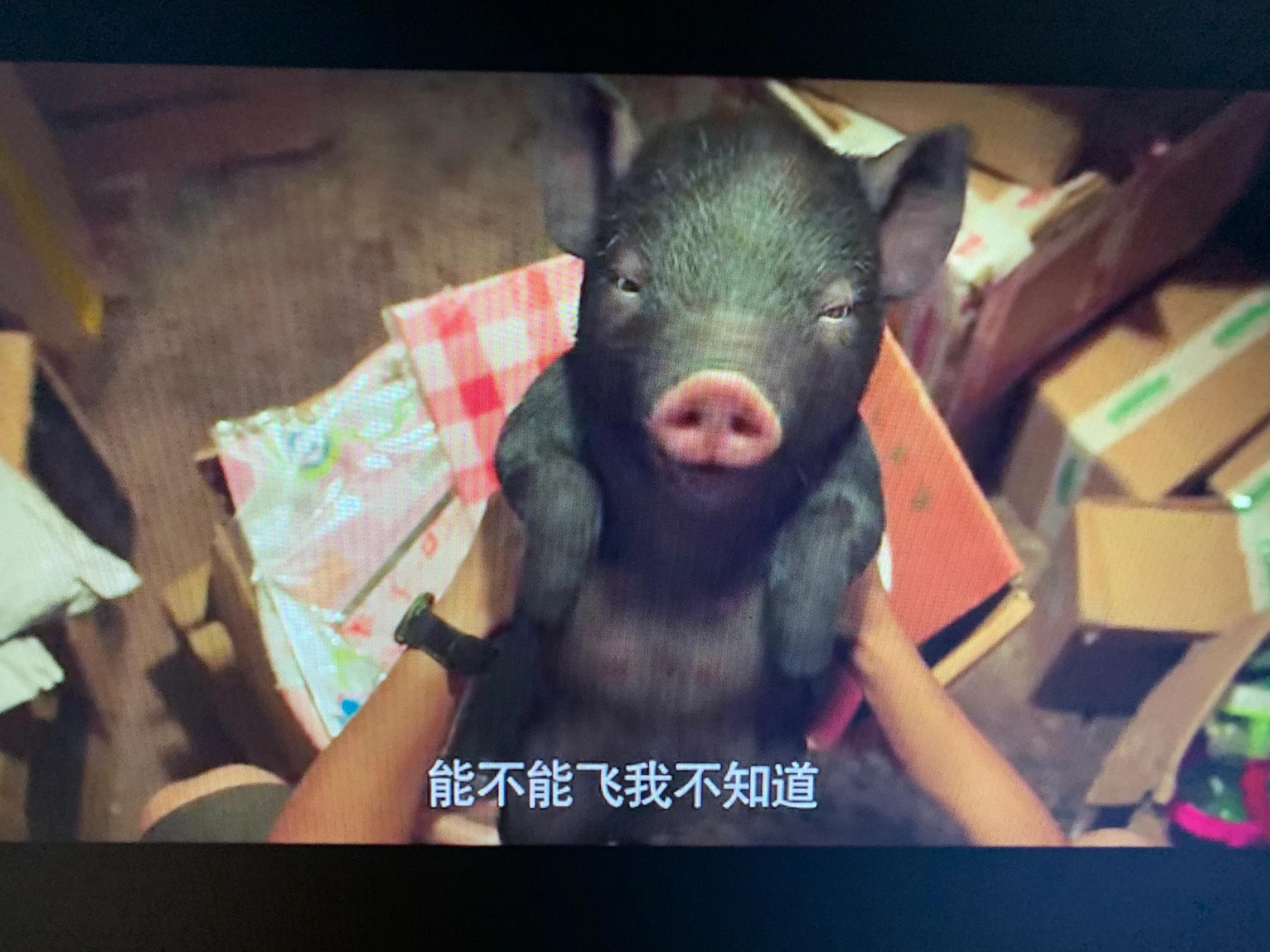 一点就到家的利他思维,一点就到家的创业看法