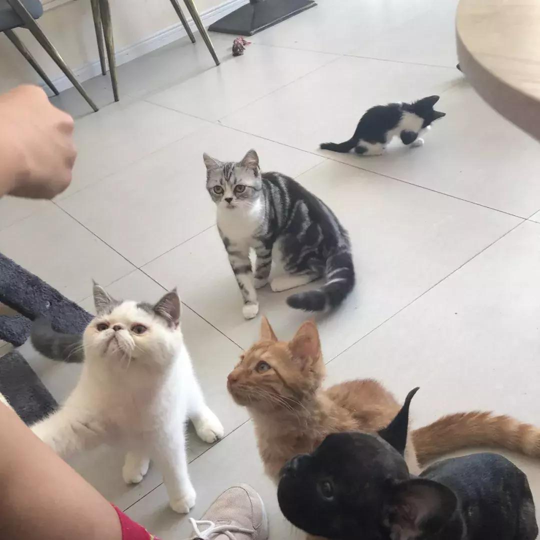 汉中饮品奶茶店,汉中奶茶店图片