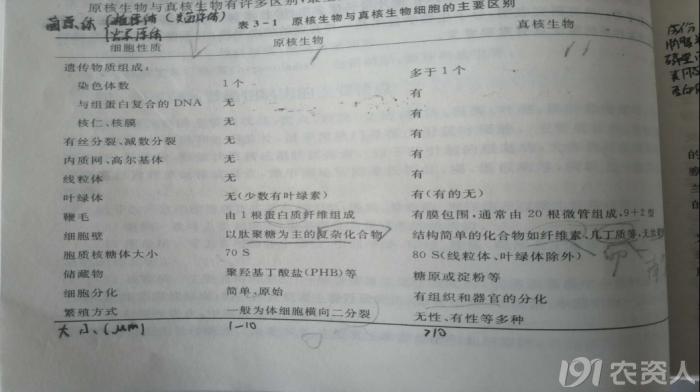 蔬菜细菌病图片大全,破解蔬菜病虫害之谜