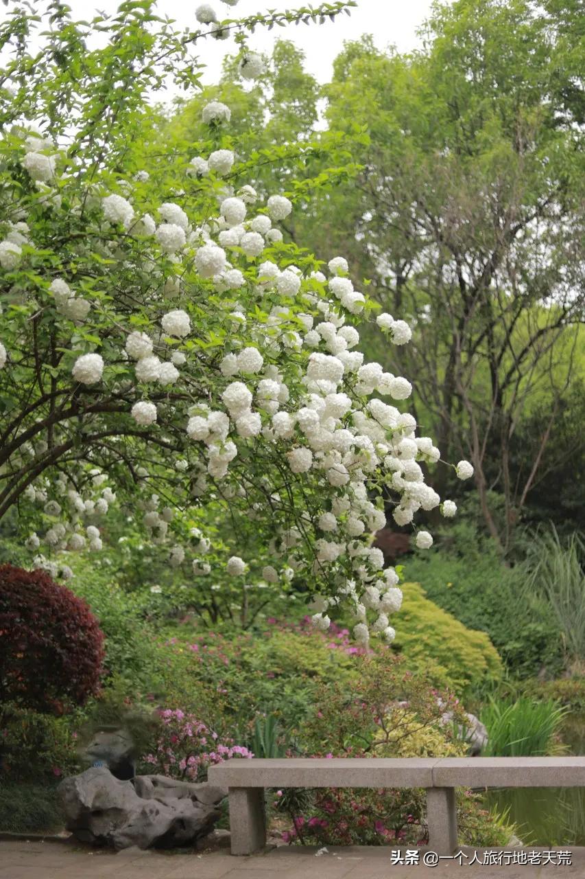 江苏这个“快乐”的城市，颜值不输苏杭，连苏东坡都在这养老