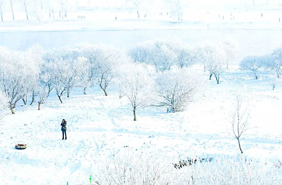 冬季的庭院景观,美丽如画的自然景观让人心旷神怡