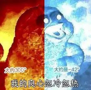 四季学堂养生课,吃鸡的忌口