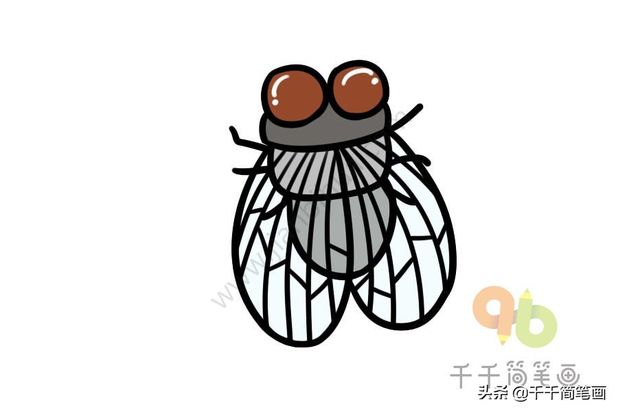 昆虫简笔画和介绍,昆虫简笔画及简介