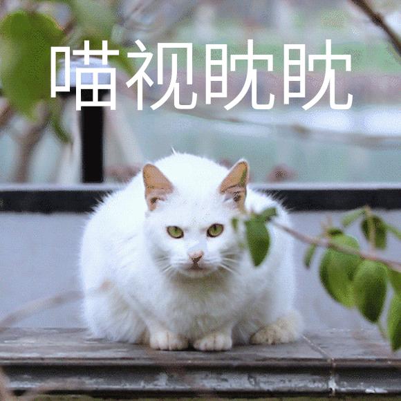 90后的佛系,90后佛系图片大全