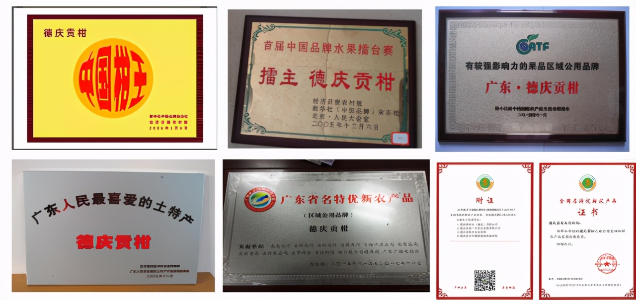 德庆贡柑之乡,德庆贡柑高端礼盒