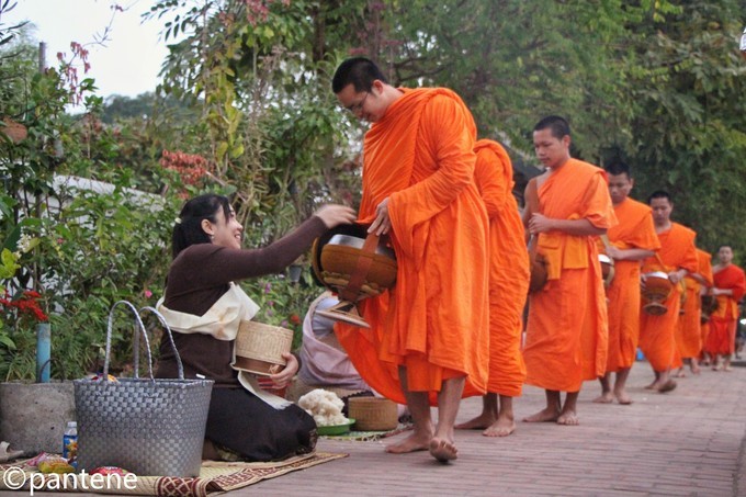 3月旅行最佳选择,3月旅行地点推荐亲子