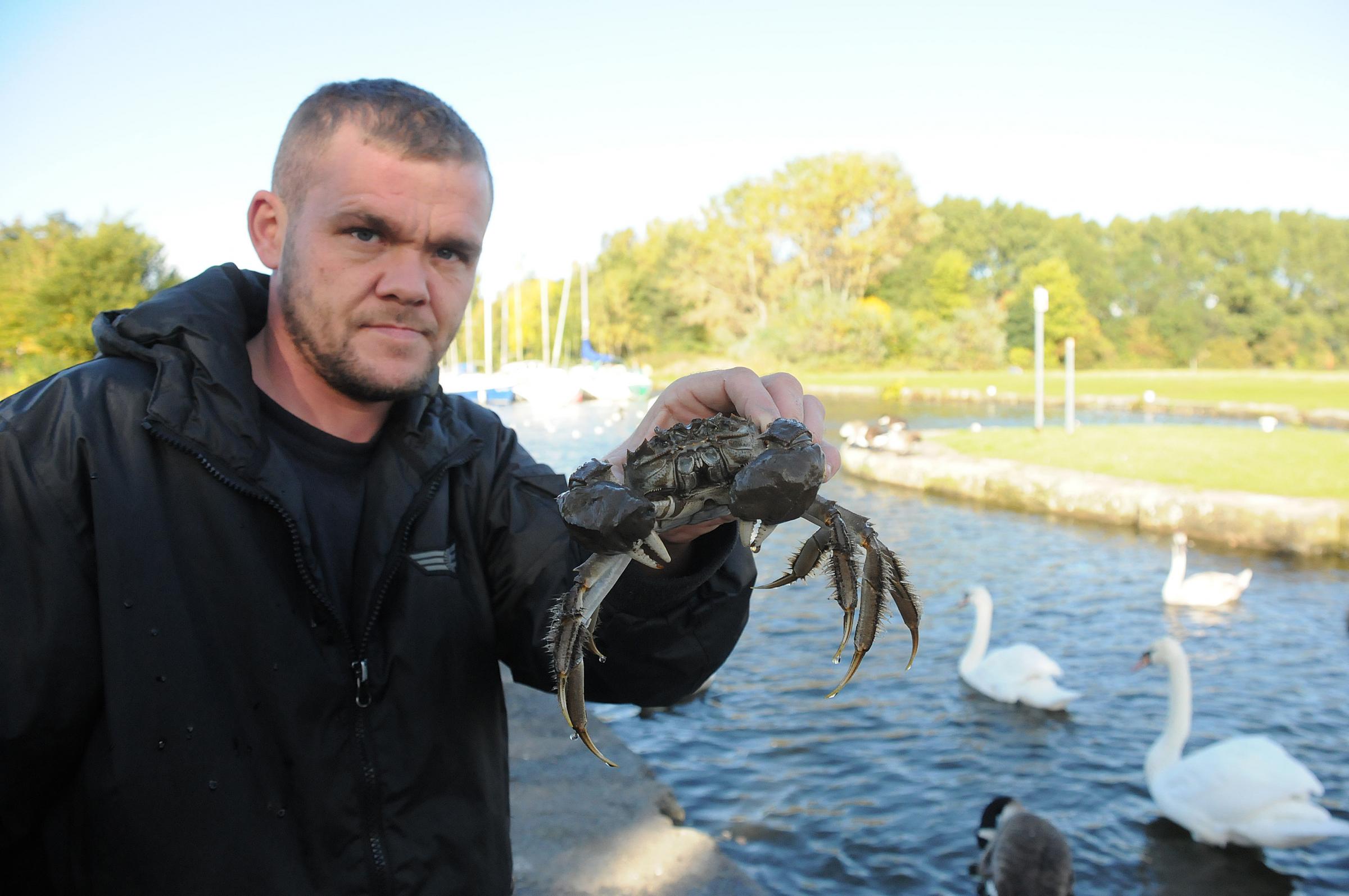大闸蟹入侵欧洲的危害,大闸蟹在美国泛滥成灾视频