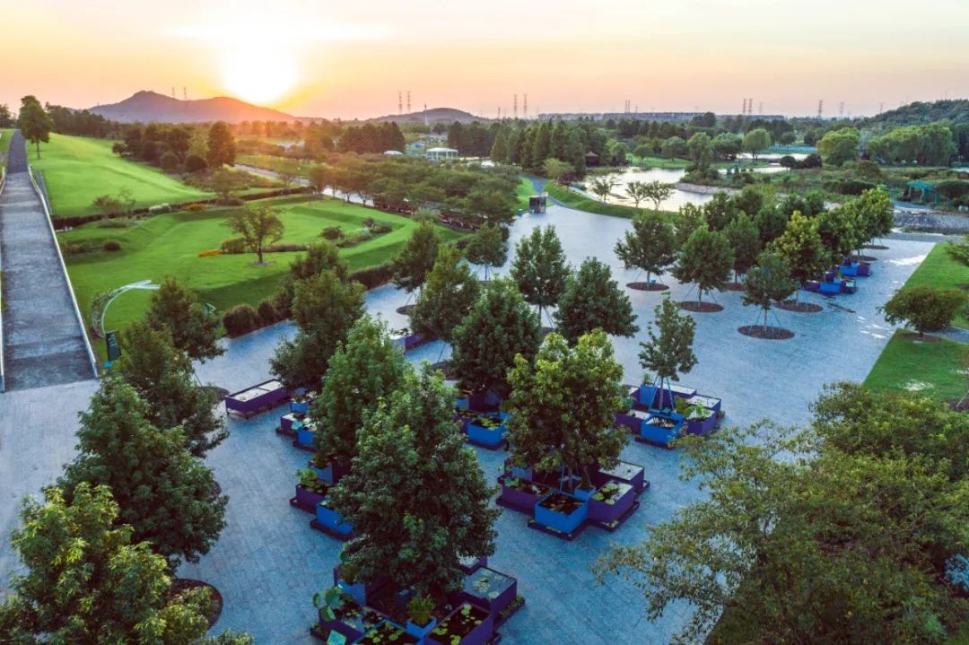 他出生河南,双一流博士毕业,手握国家级荣誉,还是上海市专门引进的人才!