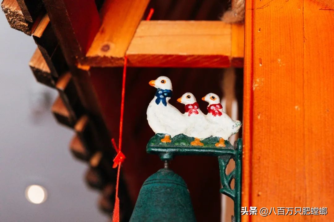 章鱼火锅日式,会动的章鱼海鲜火锅