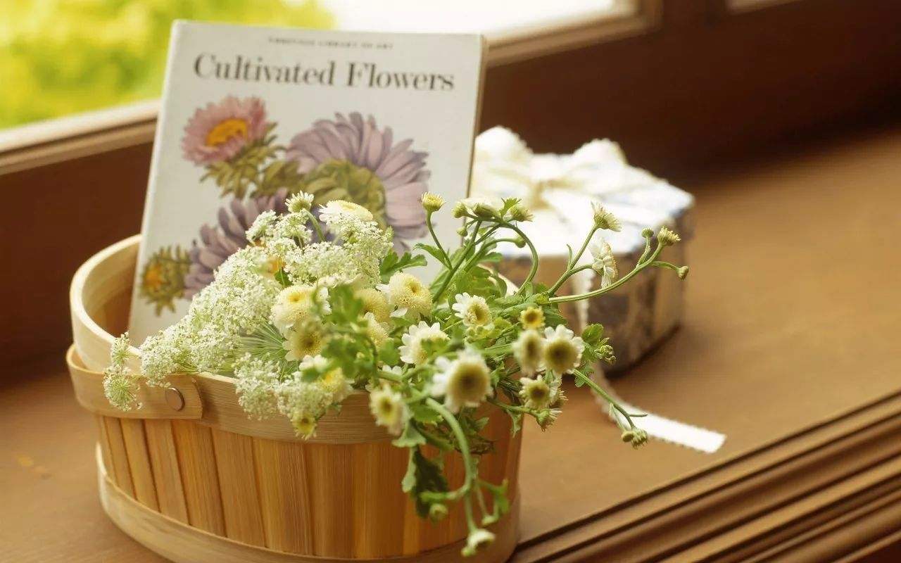 雨后天晴的优美散文,雨过天晴经典散文