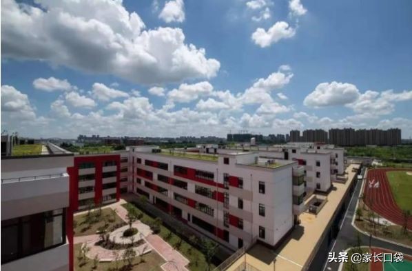 上海最有潜力公办小学,上海新增优质小学名单