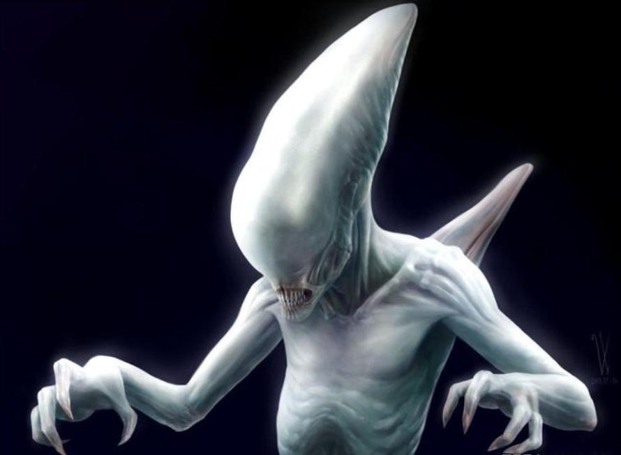 寮傚舰vs閾佽鎴樺+娣卞害瑙h,涔愰珮閾佽鎴樺+vs寮傚舰