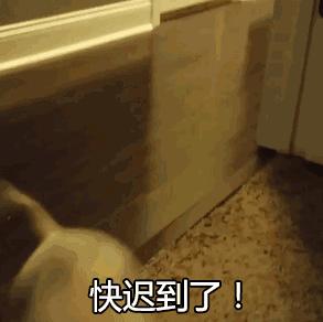 粤语中的“AAB”叠词，你认识哪一些？