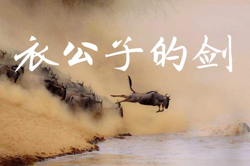 义乌的切面|衣公子