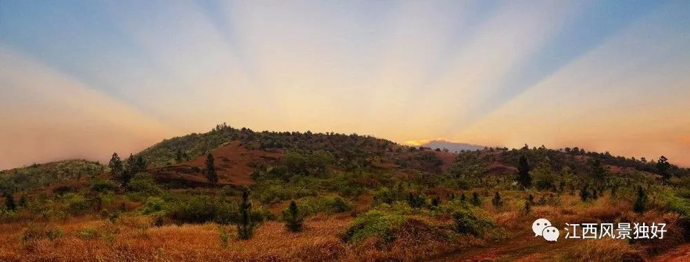 朱虹十论江西文化,朱虹个人简历