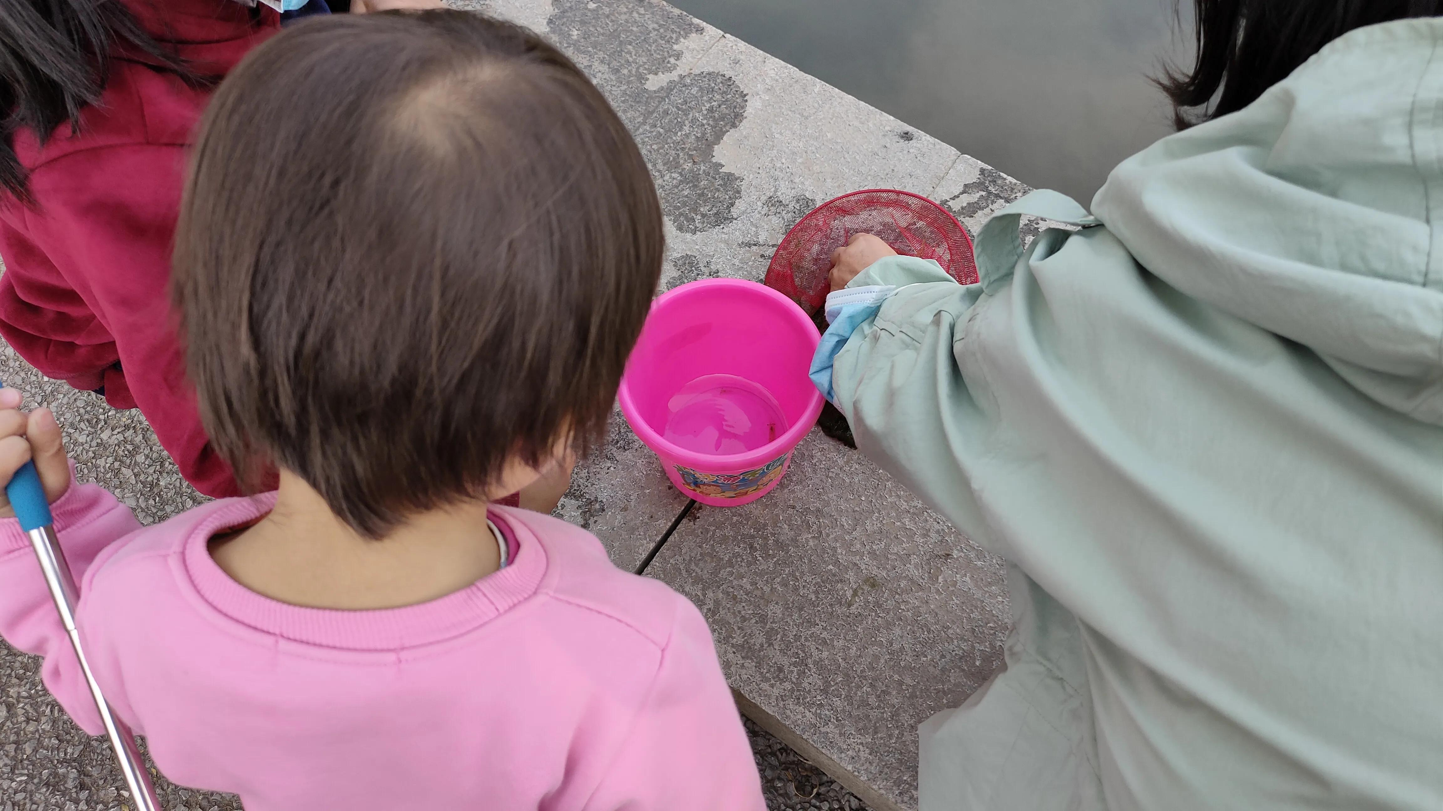 探寻西安大明宫国家遗址公园攻略,西安的大明宫遗址公园