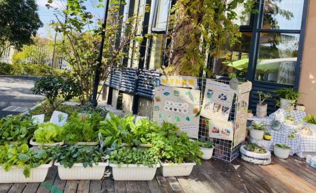 牛！余杭这15所学校被点名表扬了！有你的母校吗？