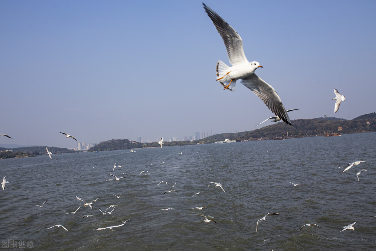 第七次人口普查江苏各城市总人口,七普数据江苏浙江