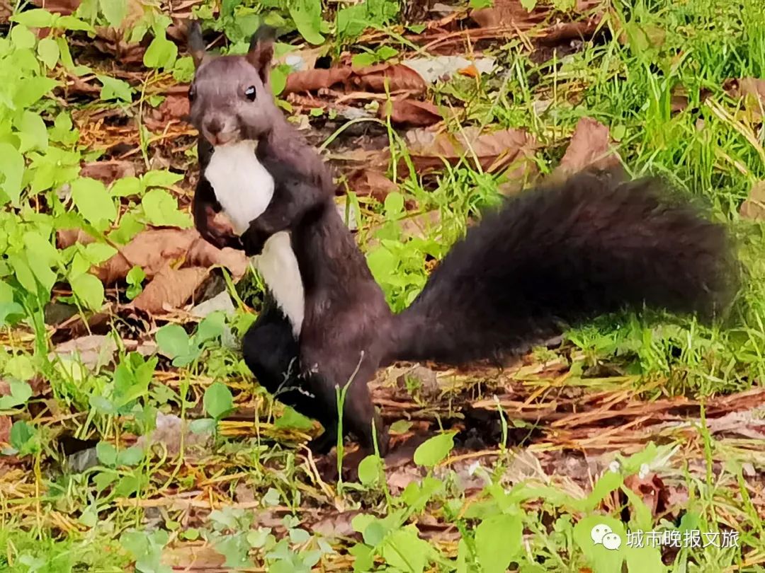 城晚拍拍丨落日余晖