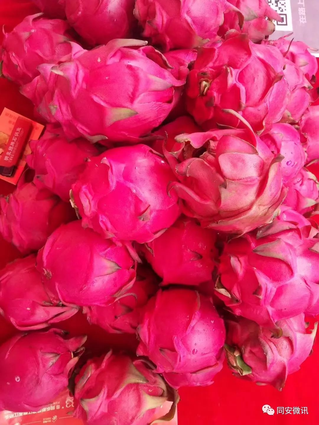 桂林平乐美食攻略,广西桂林平乐县特色美食