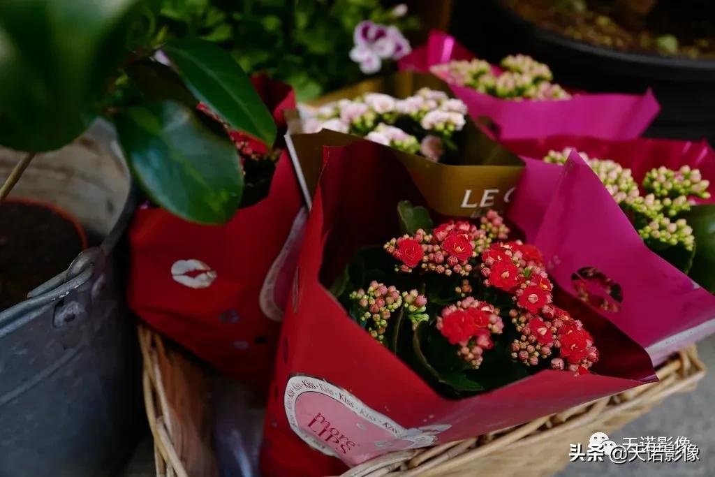 徕卡q3与徕卡m11-p哪个比较好,徕卡相机q与q-p有什么区别