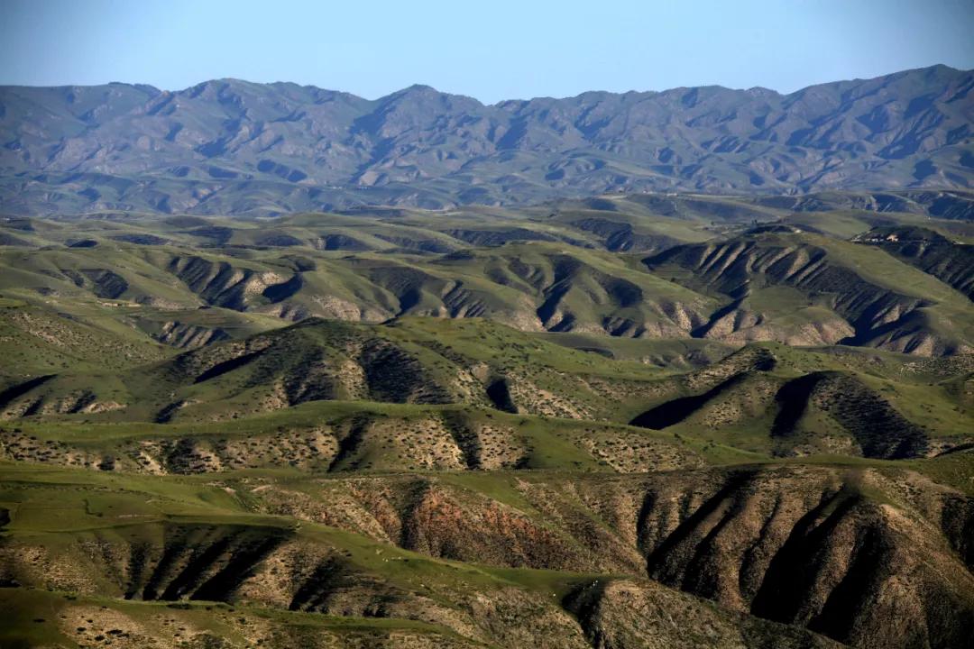 西北望射天狼深度解析,西北望射天狼霸气吗