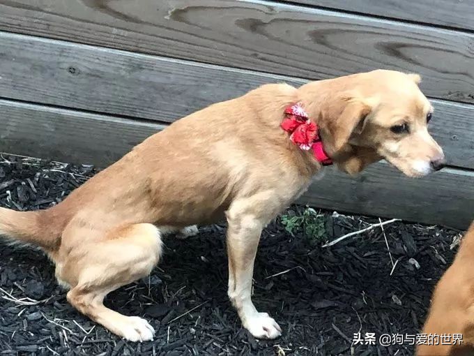 鏅氫笂瀹堕噷杩涗簡涓嶆槑鐢熺墿,鐢峰瓙鍗婂鍥炲閬囦笂涓嶆槑鐢熺墿