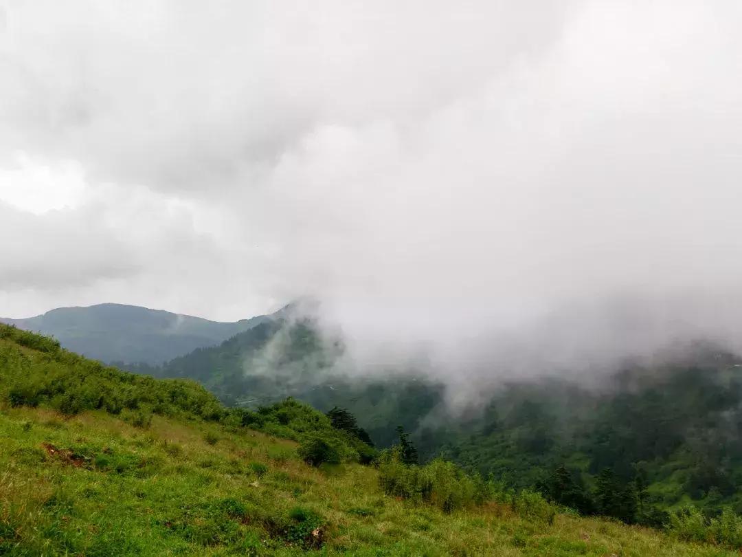 神农架攻略书,重庆出发神农架三日自驾游攻略