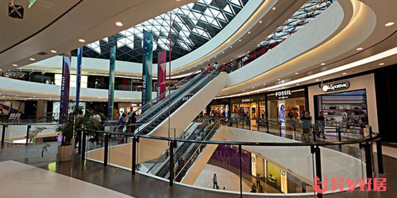 奥克兰留学视频,如何去奥克兰留学