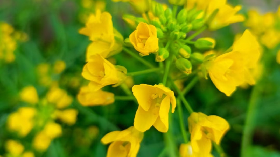 天上掉馅饼屋顶砸个洞,天上掉馅饼砸我头上了是怎么回事