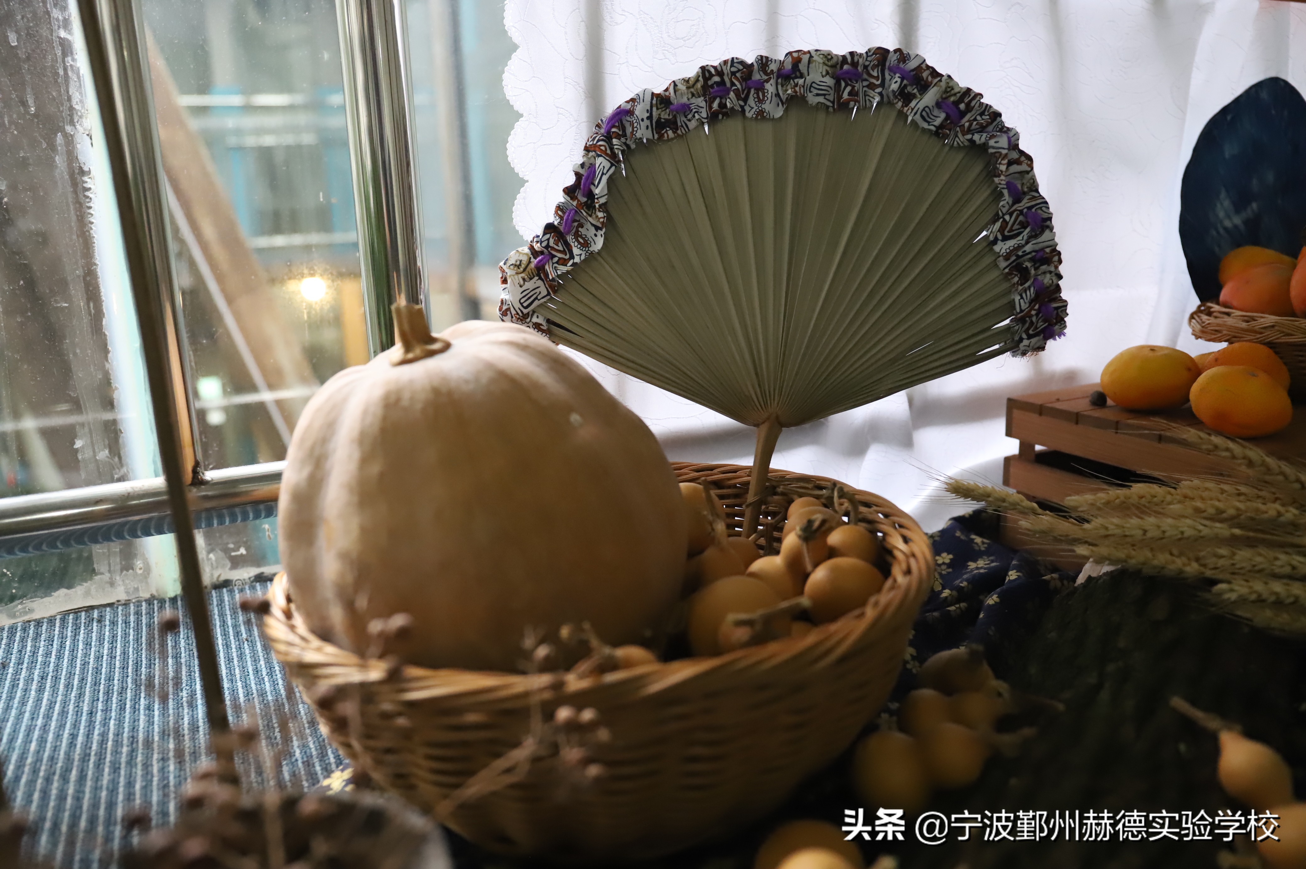 这所“相貌平平”的幼儿园，为什么宁波家长排着队想把孩子送进去