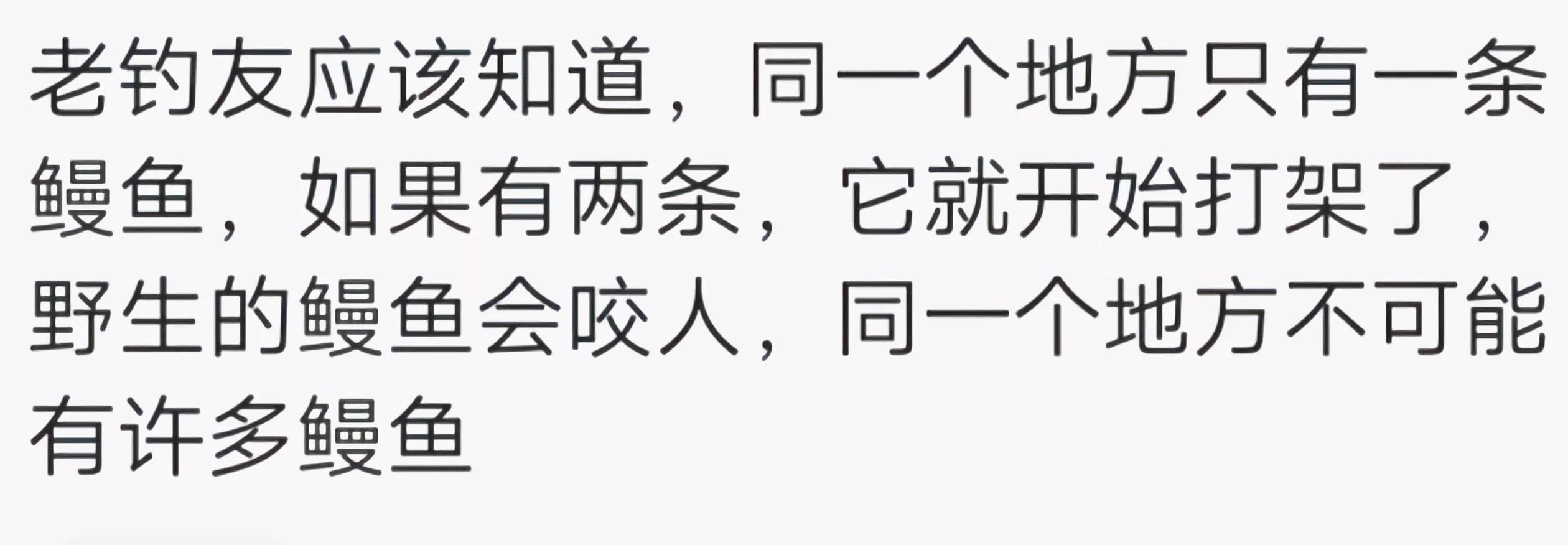 江苏钓野生鳗鱼,江苏仿野生鳗鱼