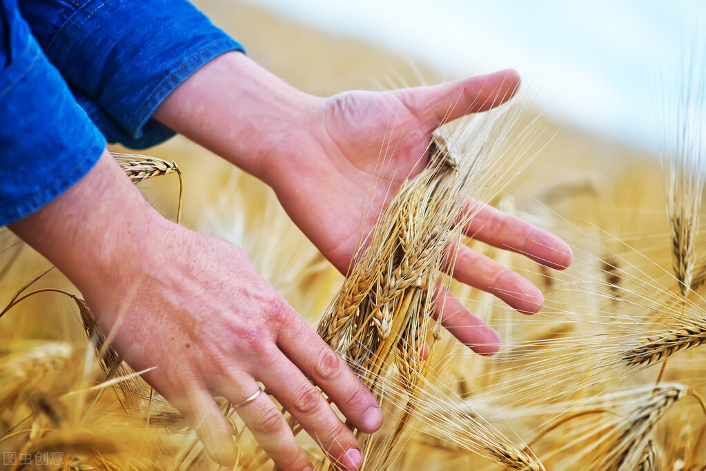 农村冬季取暖难题有新解,农村冬天取暖经济又实惠的好政策