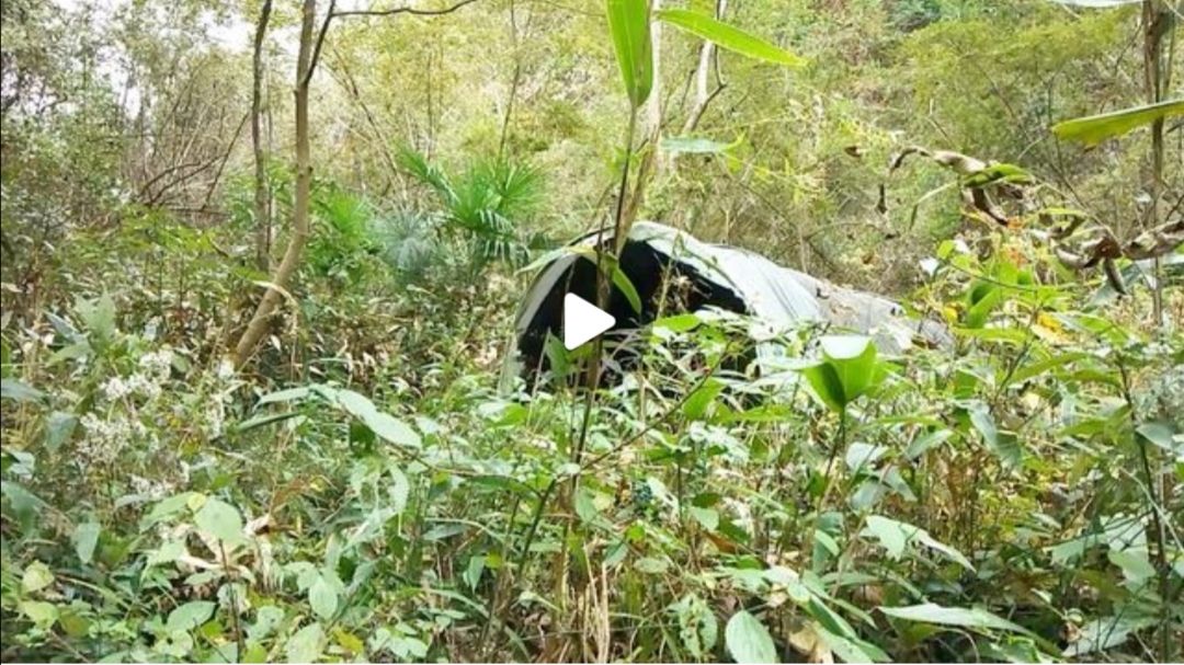 徐建成散文随笔选,徐建成的散文随笔