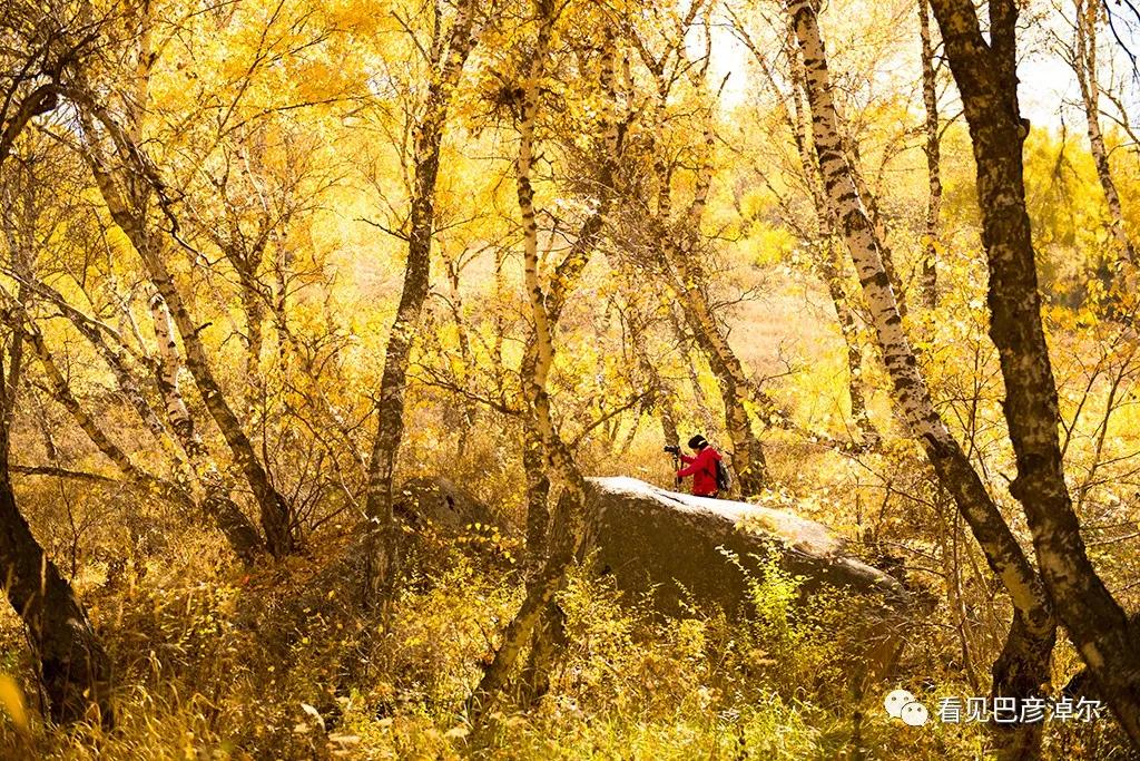 七分钟带你领略大美乌拉特前旗 (带你去看乌拉特前旗)