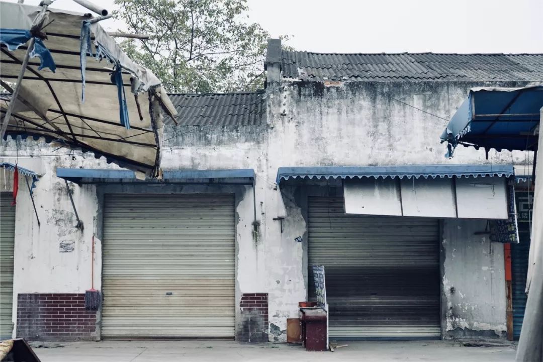 成都黄田坝鸟市在哪里,成都黄田坝鸟市