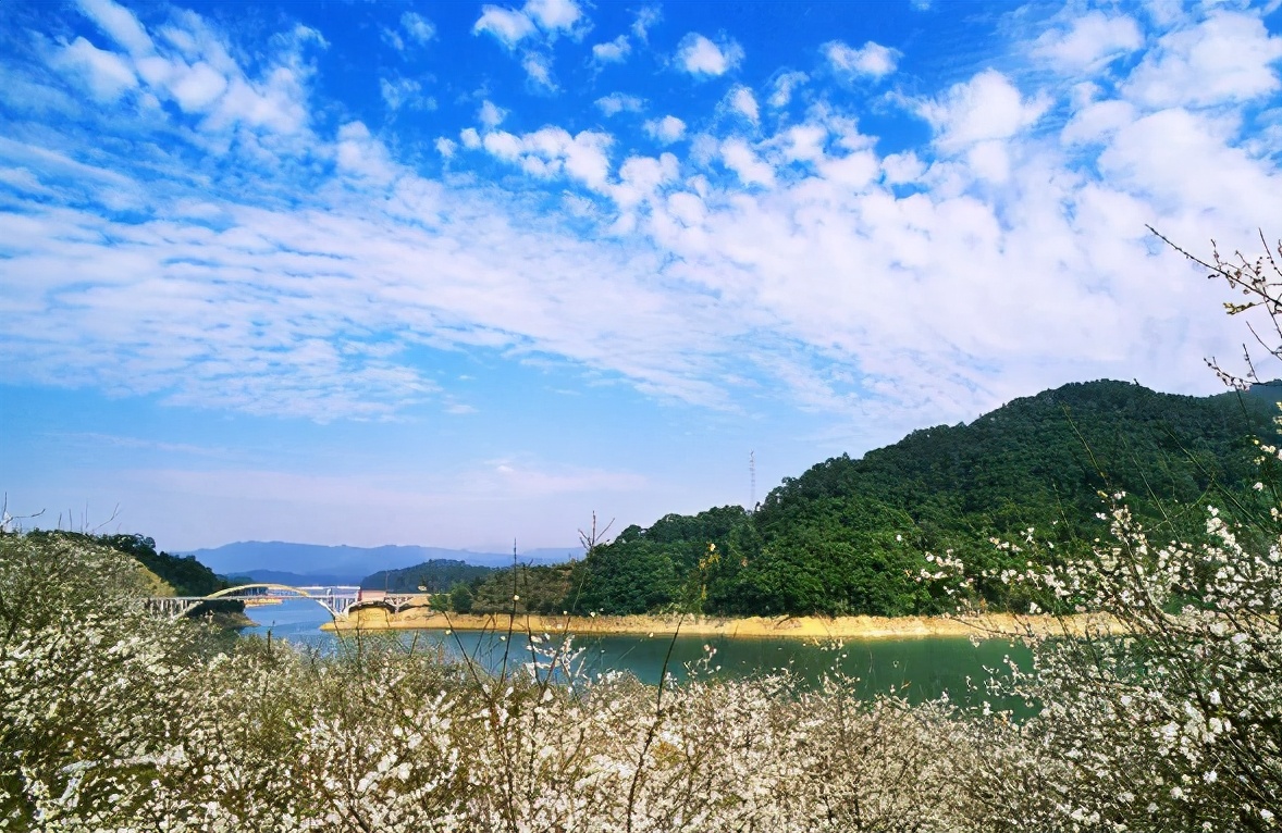 广东从化民宿温泉私人泡池价格,从化温泉私人泡池