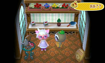 动物森友会什么时候能刷新,15年斯巴鲁森林人老款